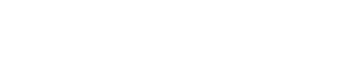 Business IP Legal Services